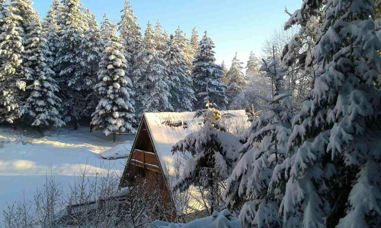 Вилла Vikendica Tarsko Srce S Митровац Экстерьер фото